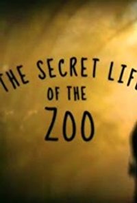 Secret Life of the Zoo - Season 6