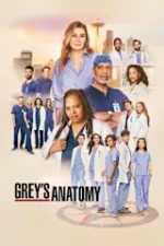 Grey's Anatomy - Season 22