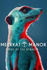 Meerkat Manor: Rise of the Dynasty - Season 1