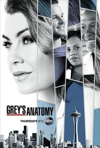 Greys Anatomy - Season 15