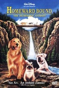 Homeward Bound: The Incredible Journey