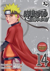 Naruto Shippuden - Season 14 (English Audio)