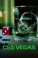 CSI: Vegas - Season 3