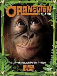 Orangutan Island - Season 1