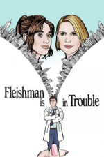 Fleishman Is in Trouble - Season 1