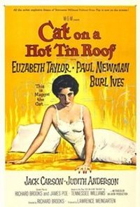 Cat on a Hot Tin Roof